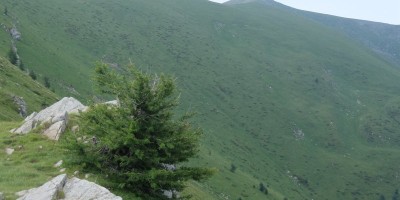 TREKKING SULLE ALPI DEL SOLE – dal Parco del Marguareis al Parco delle Alpi Liguri	 - 04-08-2018 TREKKING ESTIVI 