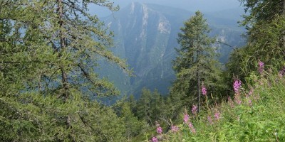 TREKKING SULLE ALPI DEL SOLE – dal Parco del Marguareis al Parco delle Alpi Liguri	 - 04-08-2018 TREKKING ESTIVI 