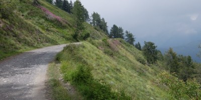 TREKKING SULLE ALPI DEL SOLE – dal Parco del Marguareis al Parco delle Alpi Liguri	 - 04-08-2018 TREKKING ESTIVI 