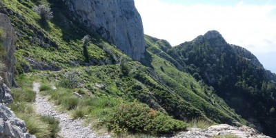 TREKKING SULLE ALPI DEL SOLE – dal Parco del Marguareis al Parco delle Alpi Liguri	 - 04-08-2018 TREKKING ESTIVI 