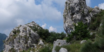 TREKKING SULLE ALPI DEL SOLE – dal Parco del Marguareis al Parco delle Alpi Liguri	 - 04-08-2018 TREKKING ESTIVI 