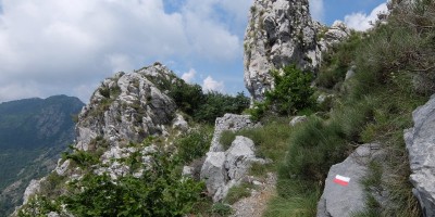 TREKKING SULLE ALPI DEL SOLE – dal Parco del Marguareis al Parco delle Alpi Liguri	 - 04-08-2018 TREKKING ESTIVI 