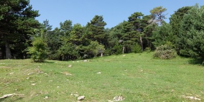 TREKKING SULLE ALPI DEL SOLE – dal Parco del Marguareis al Parco delle Alpi Liguri	 - 04-08-2018 TREKKING ESTIVI 