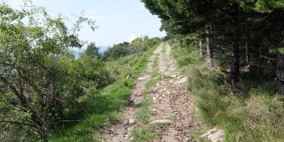 TREKKING SULLE ALPI DEL SOLE – dal Parco del Marguareis al Parco delle Alpi Liguri	 - 04-08-2018 TREKKING ESTIVI 