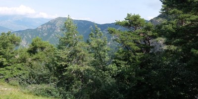 TREKKING SULLE ALPI DEL SOLE – dal Parco del Marguareis al Parco delle Alpi Liguri	 - 04-08-2018 TREKKING ESTIVI 