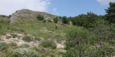 TREKKING SULLE ALPI DEL SOLE – dal Parco del Marguareis al Parco delle Alpi Liguri	 - 04-08-2018 TREKKING ESTIVI 