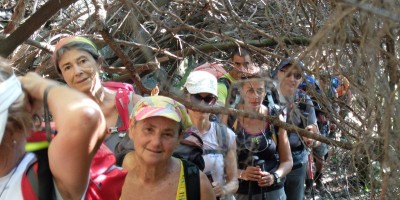 TREKKING SULLE ALPI DEL SOLE – dal Parco del Marguareis al Parco delle Alpi Liguri	 - 04-08-2018 TREKKING ESTIVI 