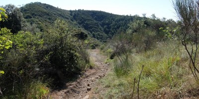 TREKKING SULLE ALPI DEL SOLE – dal Parco del Marguareis al Parco delle Alpi Liguri	 - 04-08-2018 TREKKING ESTIVI 