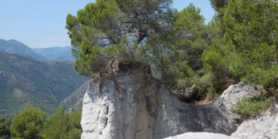 TREKKING SULLE ALPI DEL SOLE – dal Parco del Marguareis al Parco delle Alpi Liguri	 - 04-08-2018 TREKKING ESTIVI 