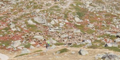 Pic du Lac Blanc (2980 m) in alta Val de la Clareè - 15-09-2019 ESCURSIONISMO ESTIVO 