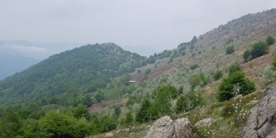Colle Lunella (m 1372) - 22-05-2022 ESCURSIONISMO ESTIVO 