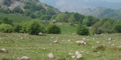 Colle Lunella (m 1372) - 22-05-2022 ESCURSIONISMO ESTIVO 