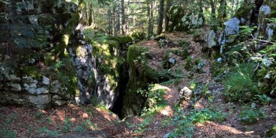Trekking Monti Bauges - 01-08-2016 TREKKING ESTIVI Trekking UET 2016 - Parco Naturale Regionale dei Monti Bauges -  foto di Laura Spagnolini