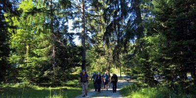 Trekking Monti Bauges - 01-08-2016 TREKKING ESTIVI Trekking UET 2016 - Parco Naturale Regionale dei Monti Bauges -  foto di Laura Spagnolini