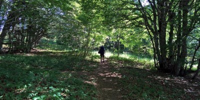 Trekking Monti Bauges - 01-08-2016 TREKKING ESTIVI Trekking UET 2016 - Parco Naturale Regionale dei Monti Bauges -  foto di Laura Spagnolini