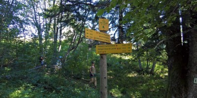 Trekking Monti Bauges - 01-08-2016 TREKKING ESTIVI Trekking UET 2016 - Parco Naturale Regionale dei Monti Bauges -  foto di Laura Spagnolini