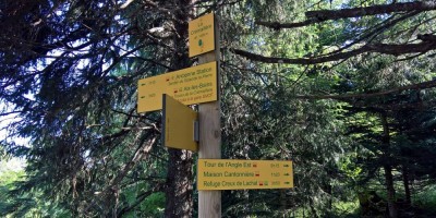 Trekking Monti Bauges - 01-08-2016 TREKKING ESTIVI Trekking UET 2016 - Parco Naturale Regionale dei Monti Bauges -  foto di Laura Spagnolini