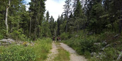 Trekking Monti Bauges - 01-08-2016 TREKKING ESTIVI Trekking UET 2016 - Parco Naturale Regionale dei Monti Bauges -  foto di Laura Spagnolini