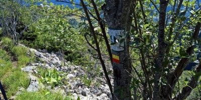 Trekking Monti Bauges - 01-08-2016 TREKKING ESTIVI Trekking UET 2016 - Parco Naturale Regionale dei Monti Bauges -  foto di Laura Spagnolini