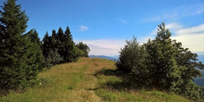 Trekking Monti Bauges - 01-08-2016 TREKKING ESTIVI Trekking UET 2016 - Parco Naturale Regionale dei Monti Bauges -  foto di Laura Spagnolini