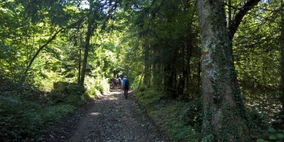 Trekking Monti Bauges - 01-08-2016 TREKKING ESTIVI Trekking UET 2016 - Parco Naturale Regionale dei Monti Bauges -  foto di Laura Spagnolini