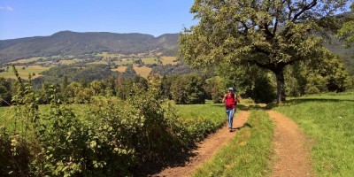 Trekking Monti Bauges - 01-08-2016 TREKKING ESTIVI Trekking UET 2016 - Parco Naturale Regionale dei Monti Bauges -  foto di Laura Spagnolini
