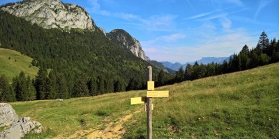Trekking Monti Bauges - 01-08-2016 TREKKING ESTIVI Trekking UET 2016 - Col de Bernet m. 1300 -  foto di Laura Spagnolini
