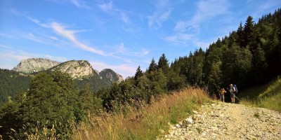 Trekking Monti Bauges - 01-08-2016 TREKKING ESTIVI Trekking UET 2016 - Parco Naturale Regionale dei Monti Bauges -  foto di Laura Spagnolini