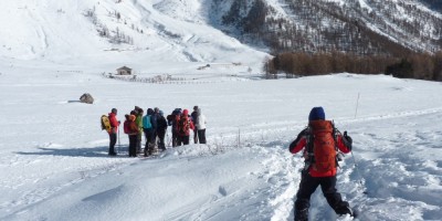 Pian dell'Alpe 1850 m - 17-01-2016 ESCURSIONISMO INVERNALE 1 uscita di escursionismo invernale con racchette - Val Chisone - foto di Giuseppe Rovera