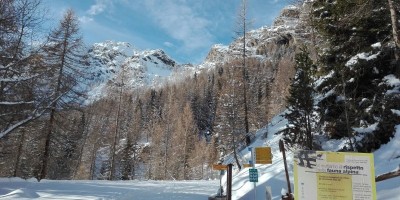 LAGO MUFFE' e LAGO VERNOILLE - 14-01-2018 ESCURSIONISMO INVERNALE 