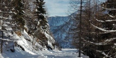 LAGO MUFFE' e LAGO VERNOILLE - 14-01-2018 ESCURSIONISMO INVERNALE 