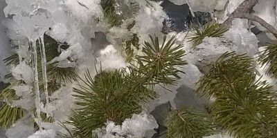 LAGO MUFFE' e LAGO VERNOILLE - 14-01-2018 ESCURSIONISMO INVERNALE 