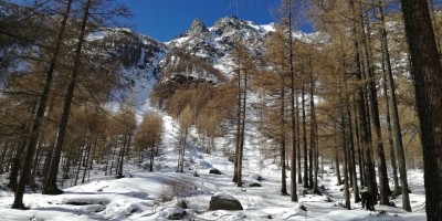 CERESOLE REALE (TO) - 18-02-2018 SCI DI FONDO 