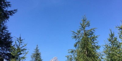 Pancherot (Monte) da Perreres per la Finestra di Cignana - 21-07-2019 ESCURSIONISMO ESTIVO 