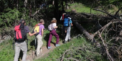 Porliod-Santuario Rifugio di Cuney – Valle di Saint Barthelemy (AO) - 07-07-2019 ESCURSIONISMO ESTIVO 