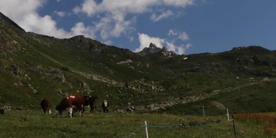 Porliod-Santuario Rifugio di Cuney – Valle di Saint Barthelemy (AO) - 07-07-2019 ESCURSIONISMO ESTIVO 