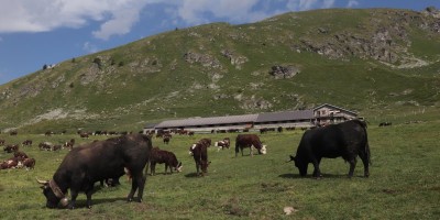 Porliod-Santuario Rifugio di Cuney – Valle di Saint Barthelemy (AO) - 07-07-2019 ESCURSIONISMO ESTIVO 