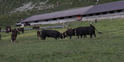 Porliod-Santuario Rifugio di Cuney – Valle di Saint Barthelemy (AO) - 07-07-2019 ESCURSIONISMO ESTIVO 