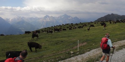Porliod-Santuario Rifugio di Cuney – Valle di Saint Barthelemy (AO) - 07-07-2019 ESCURSIONISMO ESTIVO 