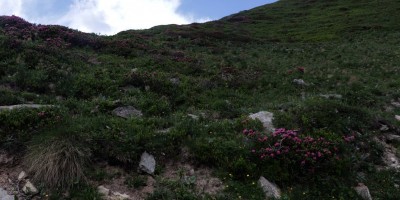 Porliod-Santuario Rifugio di Cuney – Valle di Saint Barthelemy (AO) - 07-07-2019 ESCURSIONISMO ESTIVO 