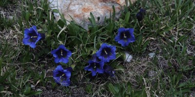 Porliod-Santuario Rifugio di Cuney – Valle di Saint Barthelemy (AO) - 07-07-2019 ESCURSIONISMO ESTIVO 