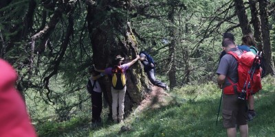 Porliod-Santuario Rifugio di Cuney – Valle di Saint Barthelemy (AO) - 07-07-2019 ESCURSIONISMO ESTIVO 