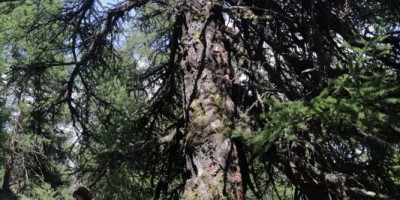 Porliod-Santuario Rifugio di Cuney – Valle di Saint Barthelemy (AO) - 07-07-2019 ESCURSIONISMO ESTIVO 