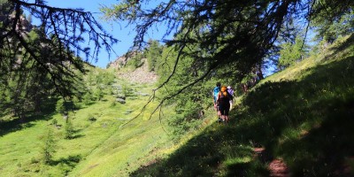 Terra Nera (3100 m) da Grange Thuras - 14-07-2019 ESCURSIONISMO ESTIVO 