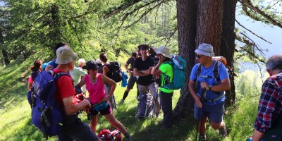 Terra Nera (3100 m) da Grange Thuras - 14-07-2019 ESCURSIONISMO ESTIVO 