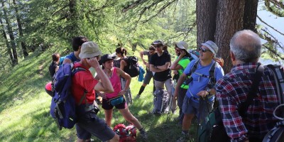 Terra Nera (3100 m) da Grange Thuras - 14-07-2019 ESCURSIONISMO ESTIVO 