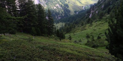 Terra Nera (3100 m) da Grange Thuras - 14-07-2019 ESCURSIONISMO ESTIVO 