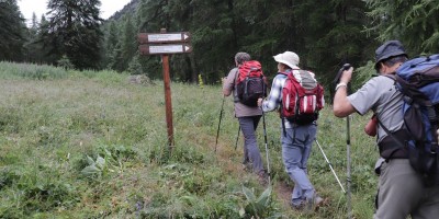 Monte Chenaillet 2650 m – sentiero geologico (***) - 28-07-2019 ESCURSIONISMO ESTIVO 