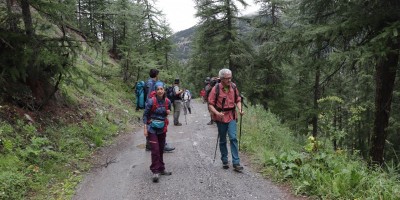 Monte Chenaillet 2650 m – sentiero geologico (***) - 28-07-2019 ESCURSIONISMO ESTIVO 