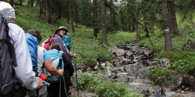 Monte Chenaillet 2650 m – sentiero geologico (***) - 28-07-2019 ESCURSIONISMO ESTIVO 